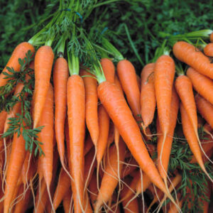 Carrots